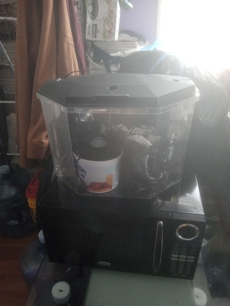 10 Gallon Tank With Light And Foam Filter