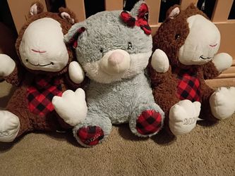Dog toys