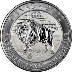 1.25oz .999 Fine Silver Bullion Coins