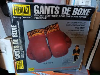 Everlast Boxing Gloves