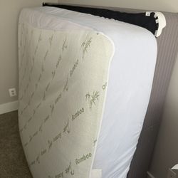 Avery Queen Mattress & Box Spring