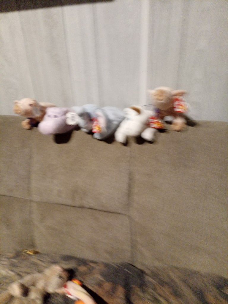 Five Beanie Babies Rare Errors Tag