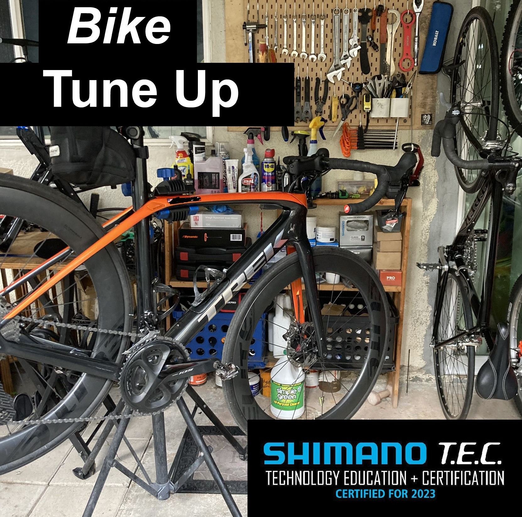 Bike Inspection