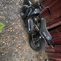 Mini Bike 