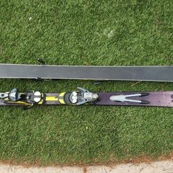 Salomon Scream Ski