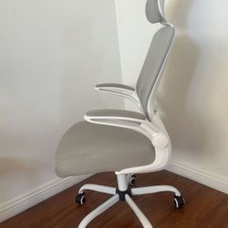 High Back Ergonomic Desk Chair with Adjustable Lumbar Support and Headrest
