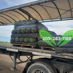 Best QUALITY Sod 