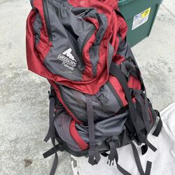 Adult Gregory Backpack