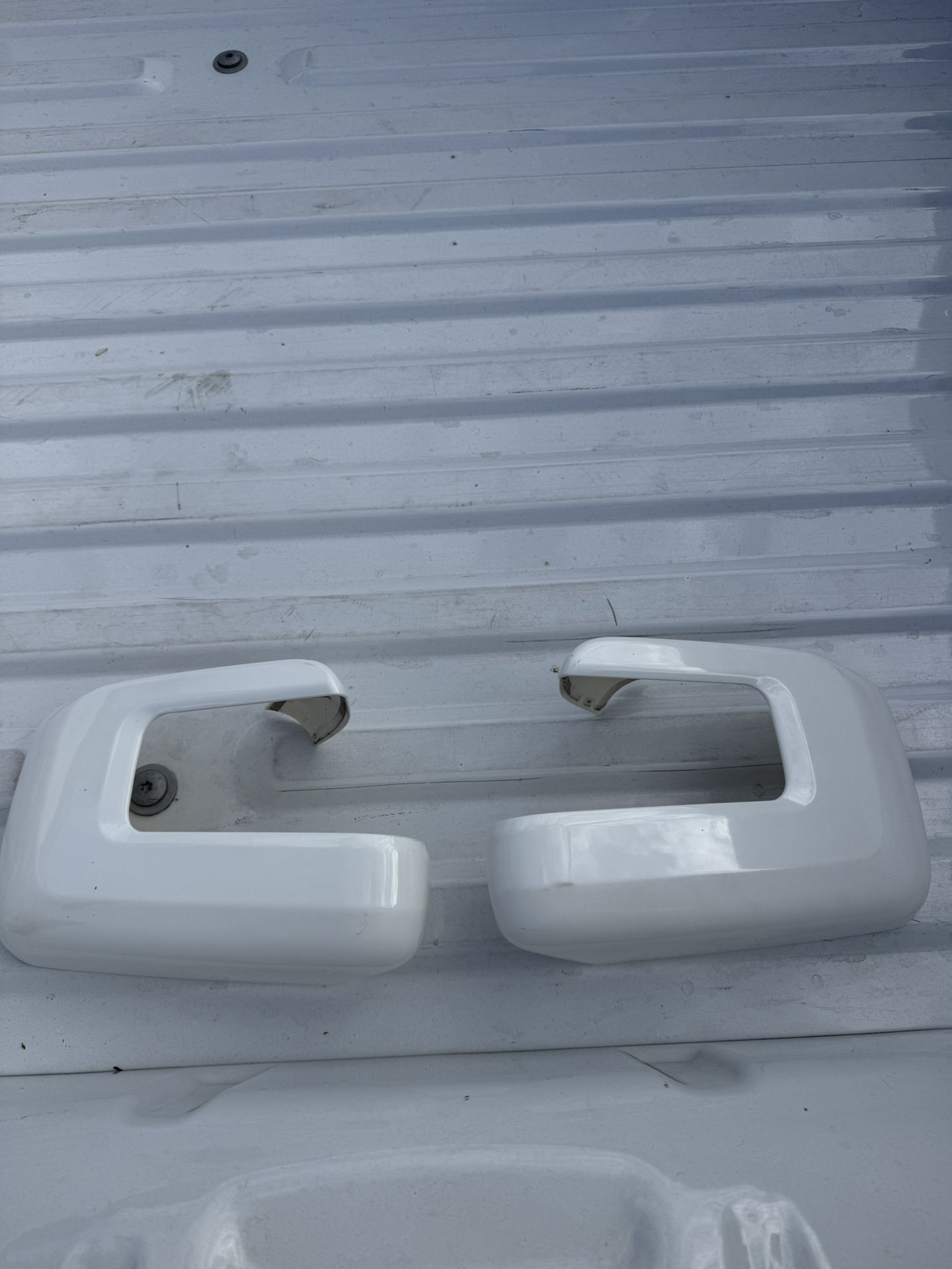 F150 Mirror Cap