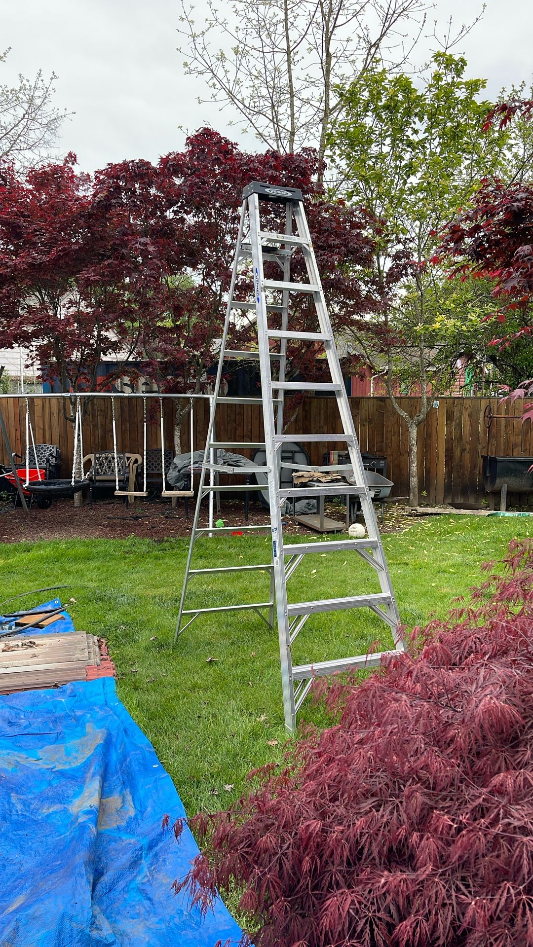 Ladder