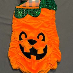 Dog Pumpkin Halloween Costume. Size (New)