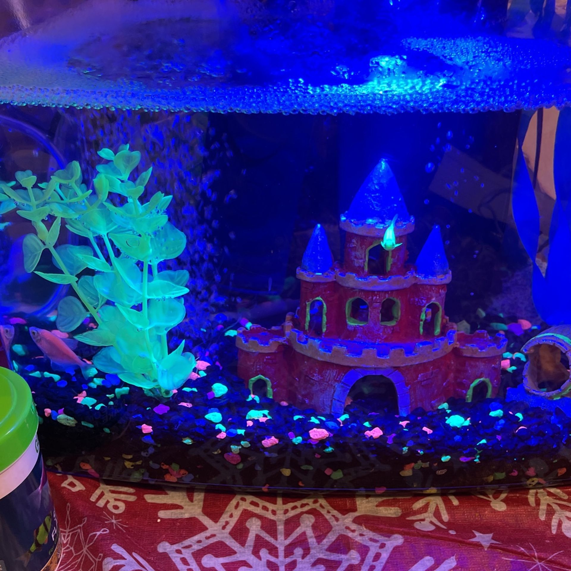 Fish Tank And Kit