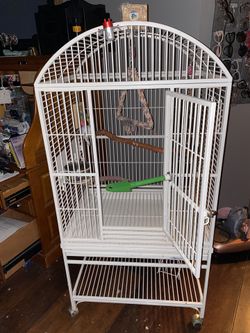 Bird Cage