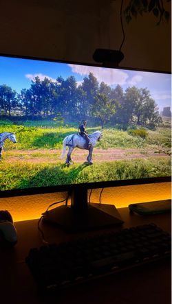 Monitor 200hz 1440p QHD