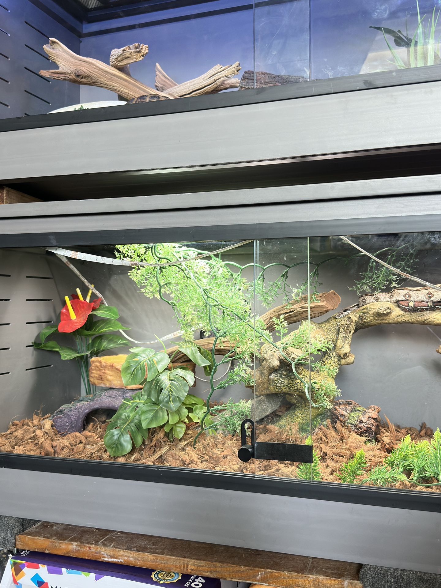 reptile tank