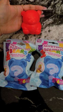 RMS Mystery Bear Squishy