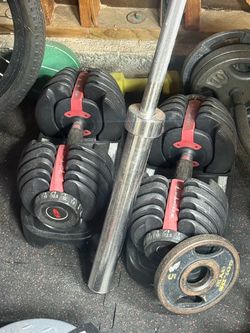 Bow flex dumbbells