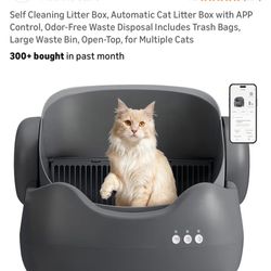 Self Cleaning Litter Box 