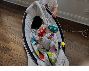 4moms mamaroo baby swing