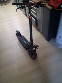 Freeboy scooter