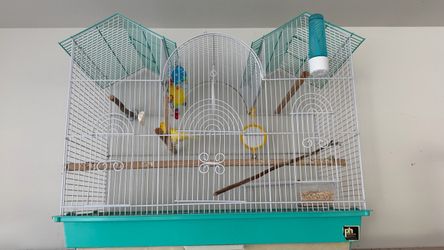 Male Canary with bird cage and food