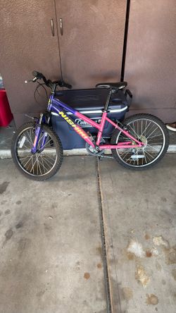 Nishiki 20 Inch Bike $75