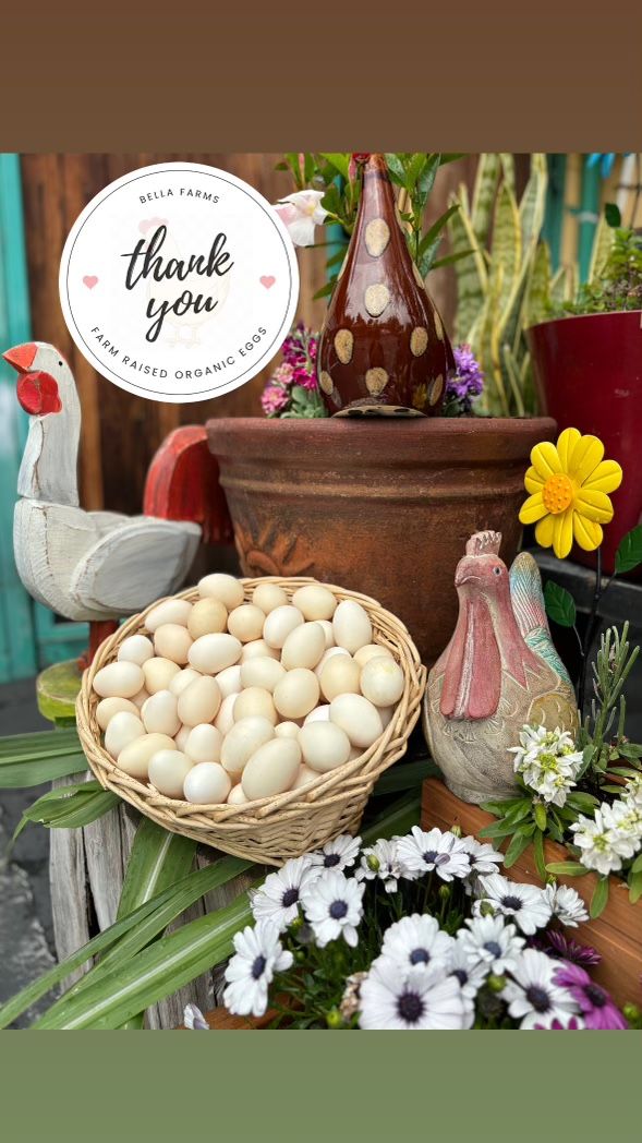 Organic Chicken Eggs 1 Dozen