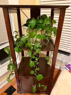 Book shelves decor