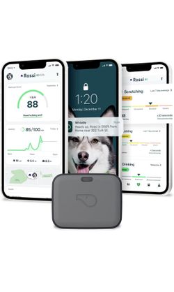Whistle GO Explore GPS + Health + Fitness Dog Tracker Plus Health & Fitness Monitor