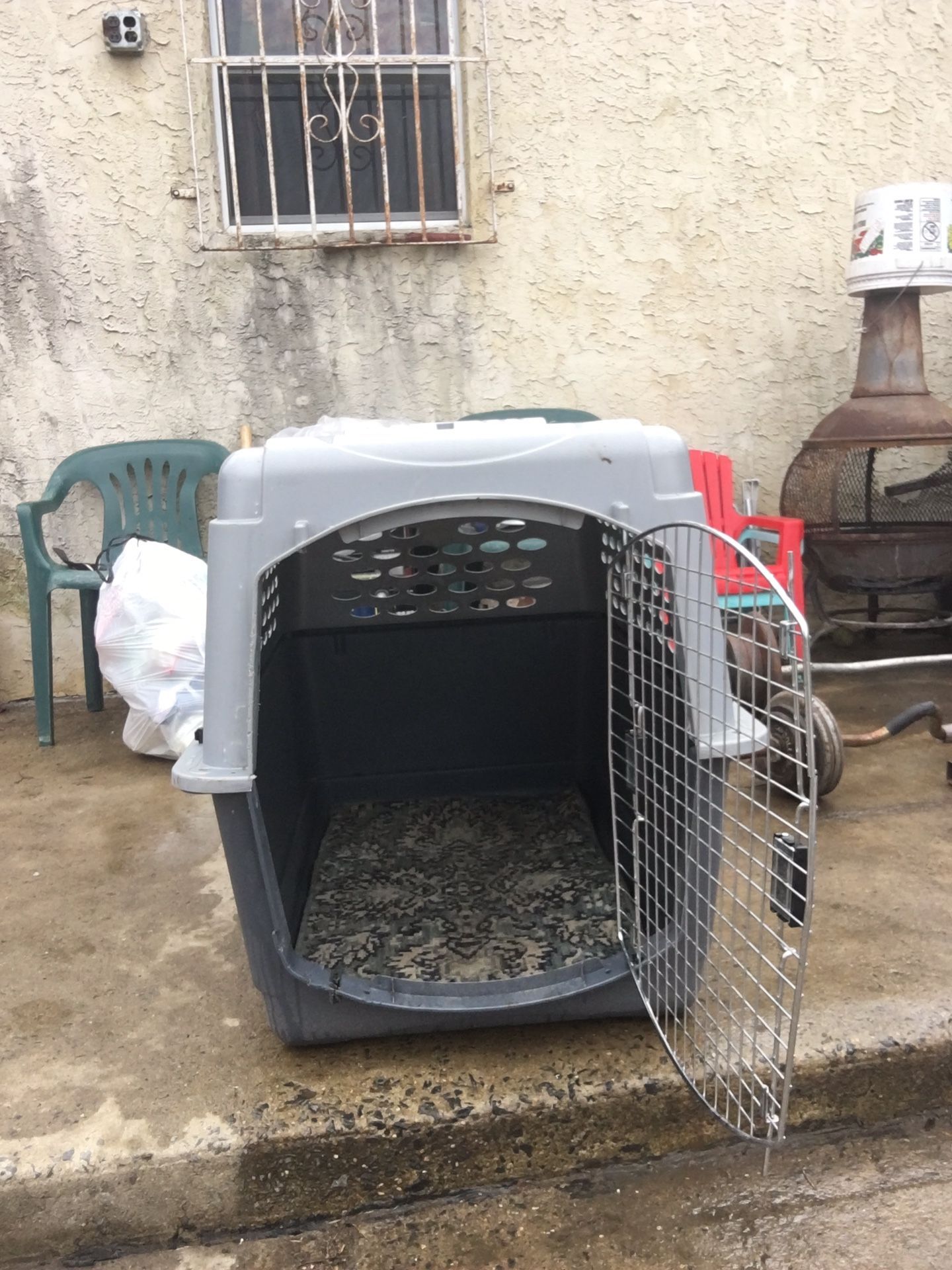 Xl dog Kennel