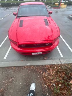 2014 gt oem hood