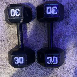 30lb Weights 