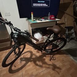 Electric Bike 