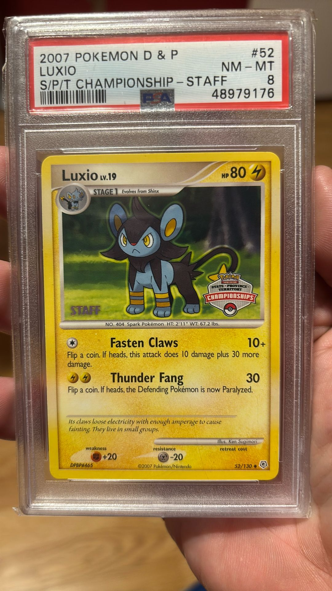 Pokemon Luxio Championship STAFF