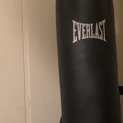 100 Lbs. Everlast Heavy Bag W/ Stand