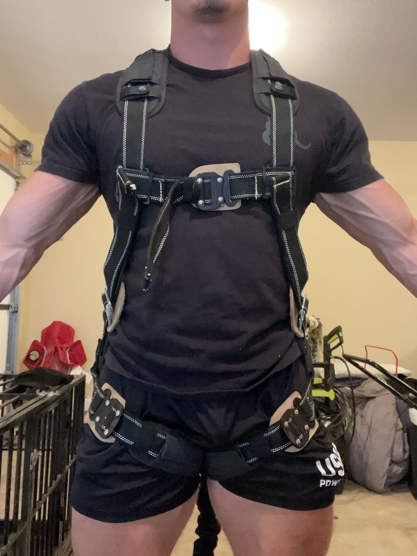 Safety Harness