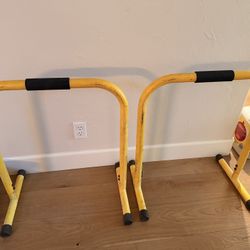 Workout Equalizer Bars