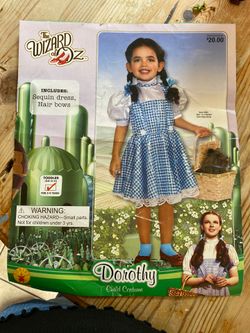 Dorothy costume