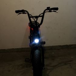 Radrunner E-bike ($1000 Discount)