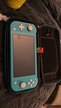 Nintendo switch light