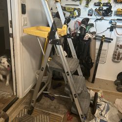 Painting Ladder 