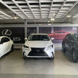 2019 Lexus NX300