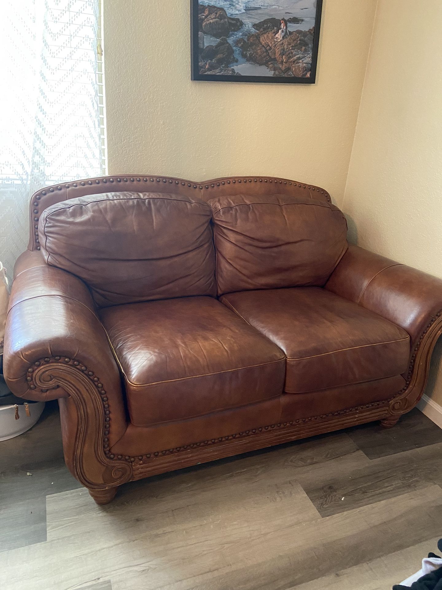 National Geographic Leather Loveseat