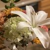 Flor