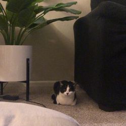 Fake Plant With Modern Floor Vase 