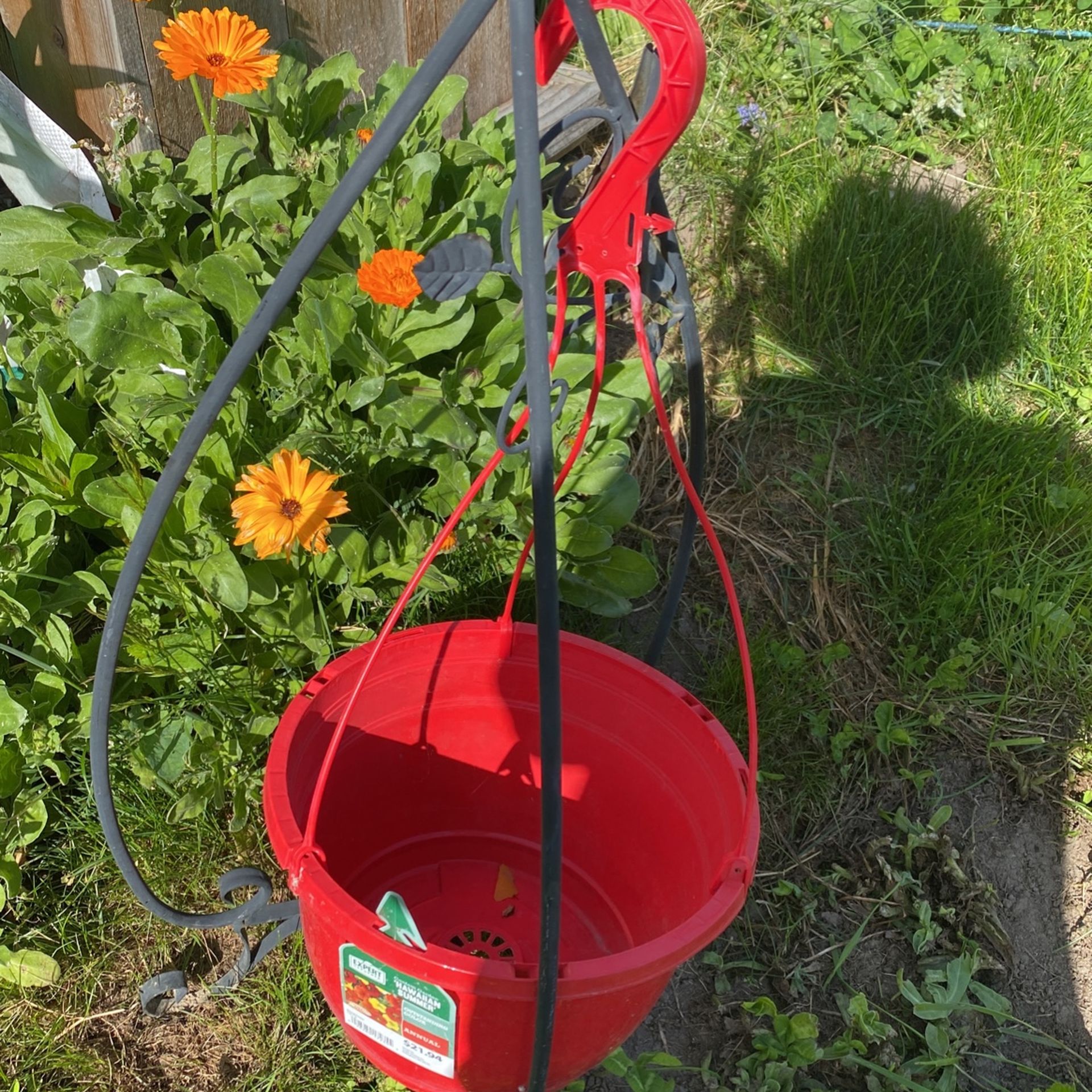 Hummingbird Plant Holder Perfect For Outdoors You Can Hung Any Pot
