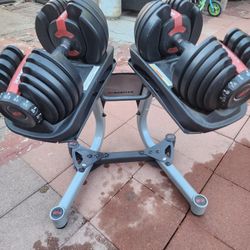 Bowflex Adjustable Weights And Stand