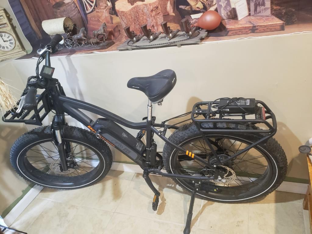 Rad Rover Electric Bike 