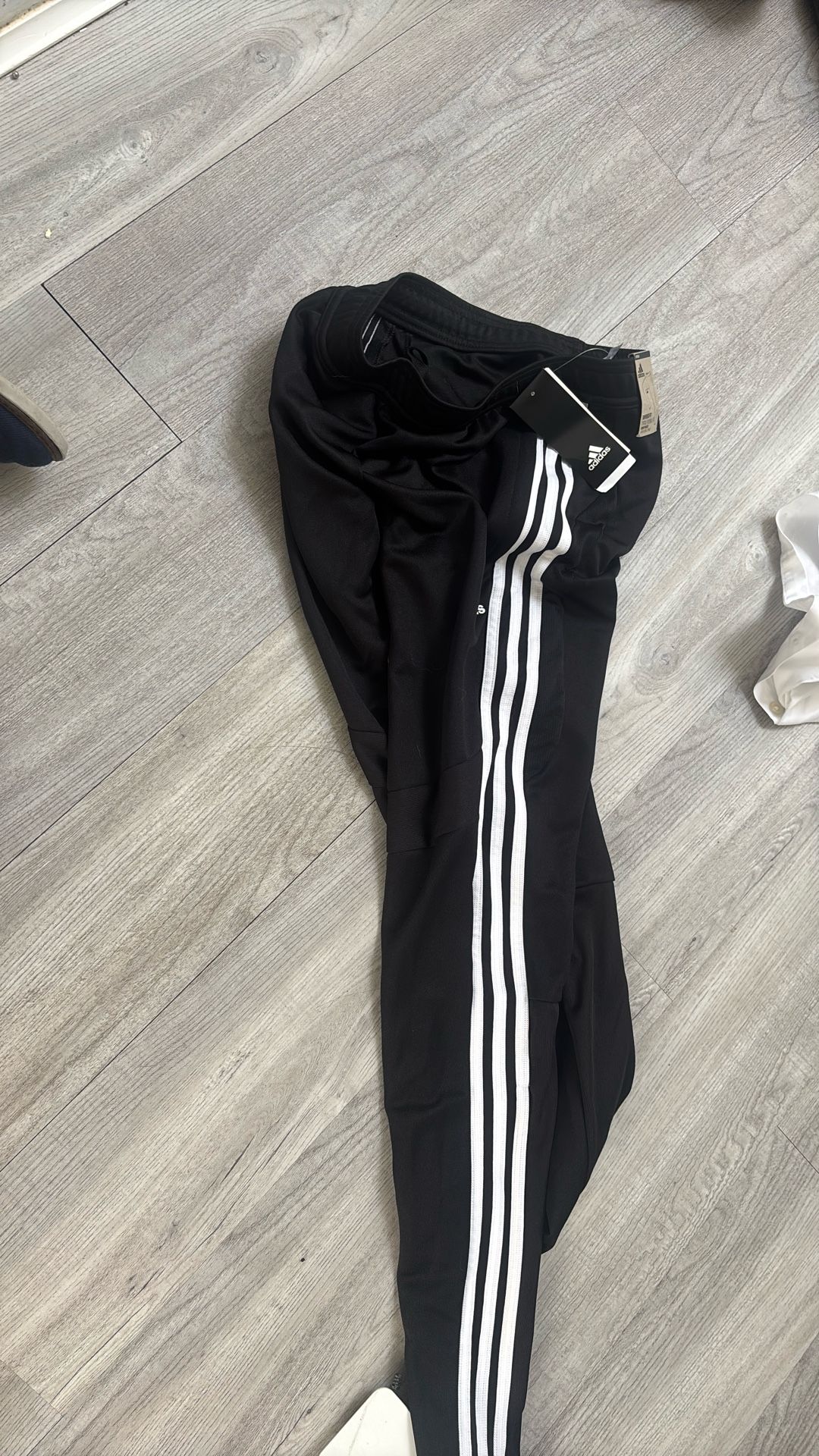 adidas Women's Tiro 19 Pants