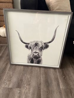 New frame